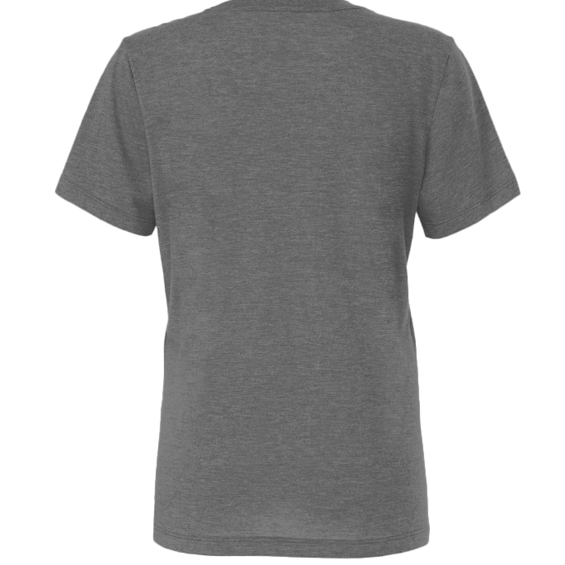 GREY TRIBLEND - BACK